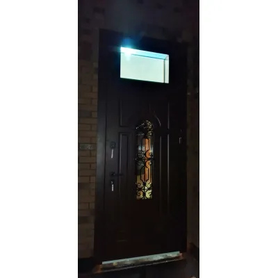 Входная металлическая дверь